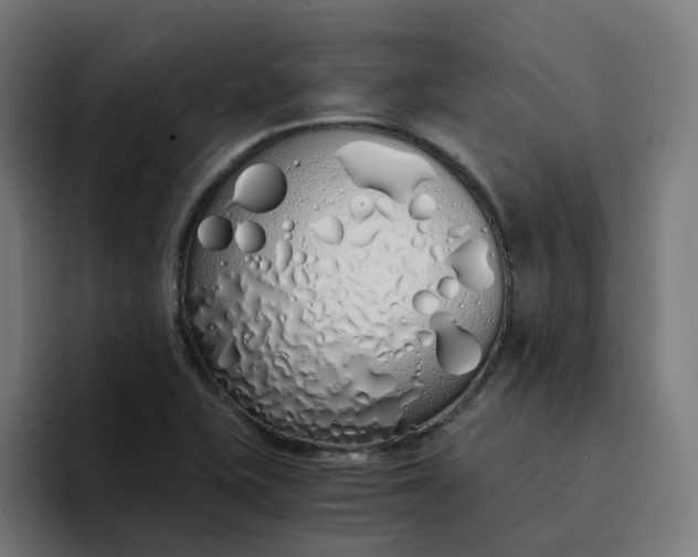 X0000094361415200711162041