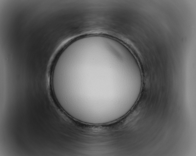 X0000094361416200711162041