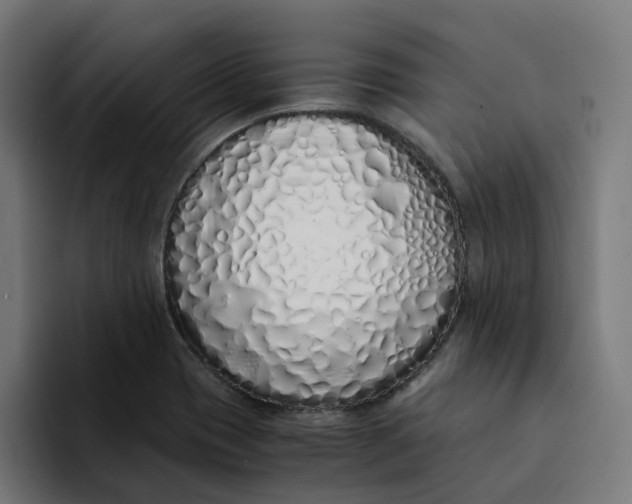 X0000094361417200711162041