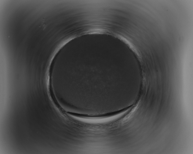 X0000094361418200711162041