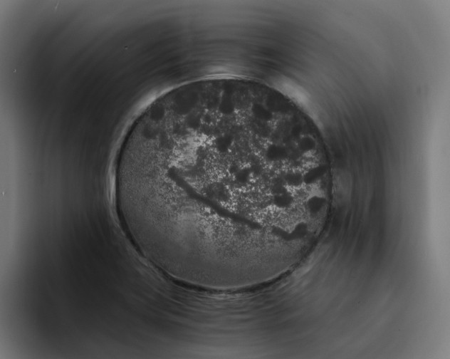 X0000094361419200711162041