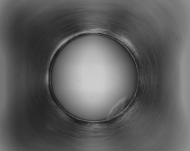 X0000094361420200711162041