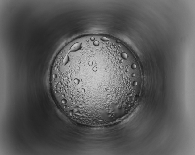 X0000094361421200711162041