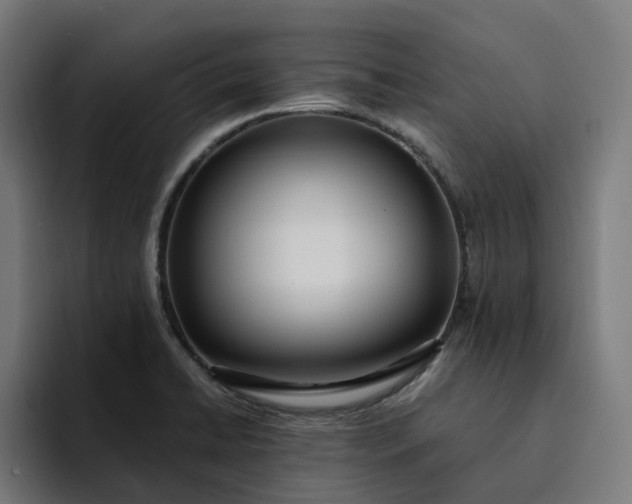 X0000094361422200711162041