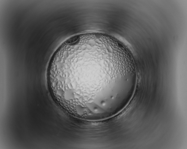 X0000094361423200711162041