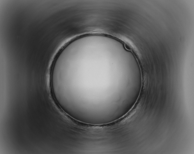 X0000094361424200711162041