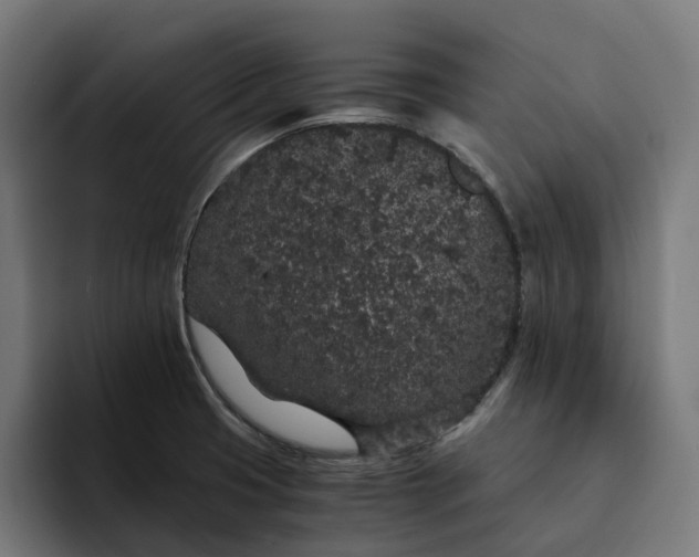 X0000094361425200711162041