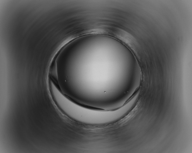 X0000094361426200711162041