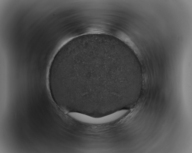 X0000094361427200711162041