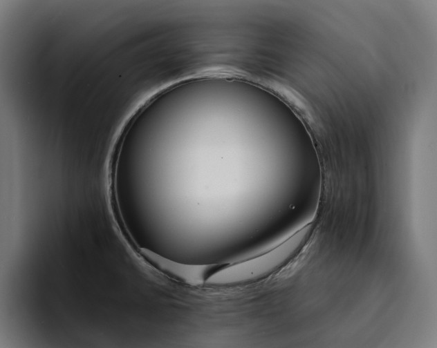 X0000094361430200711162041