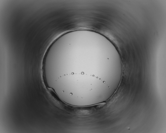 X0000094361431200711162041