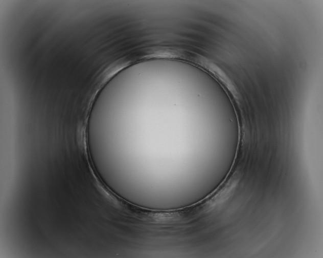 X0000094361433200711162041