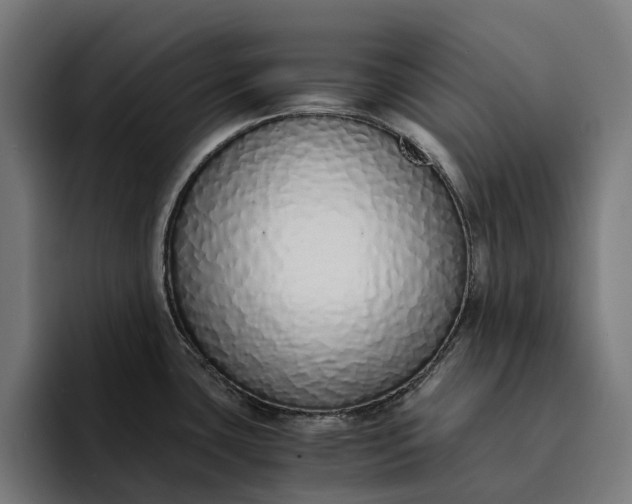 X0000094361435200711162041