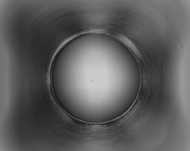 X0000094361436200711162041