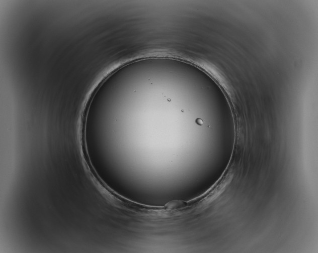 X0000094361438200711162041