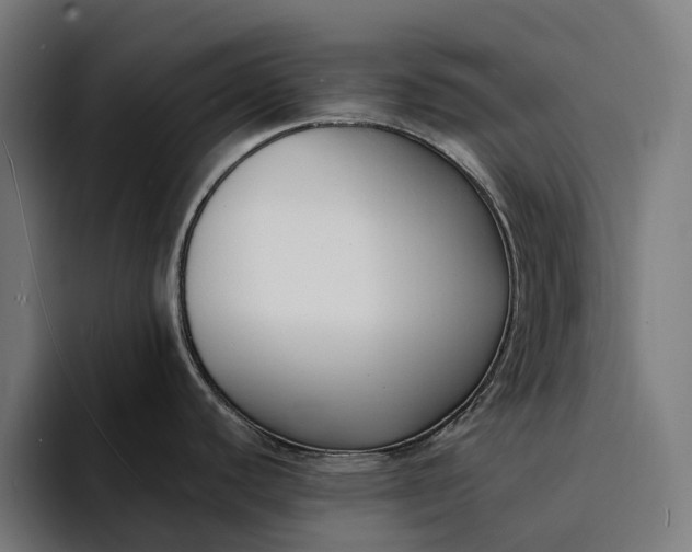 X0000094361440200711162041