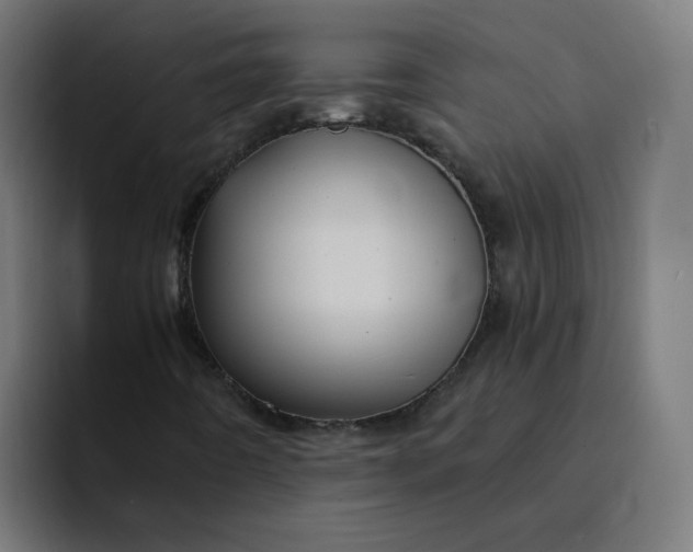 X0000094361442200711162041