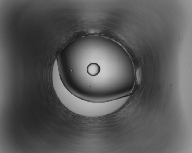 X0000094361443200711162041