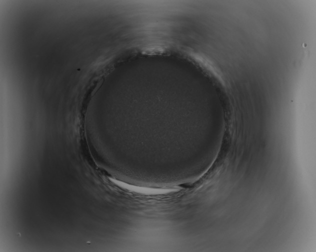 X0000094361445200711162041