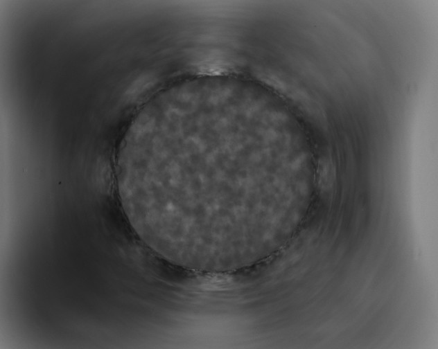 X0000094361446200711162041