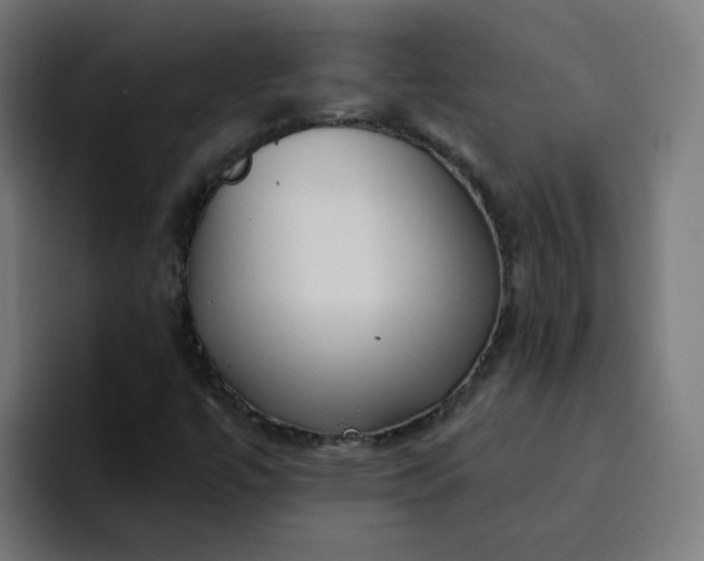 X0000094361447200711162041