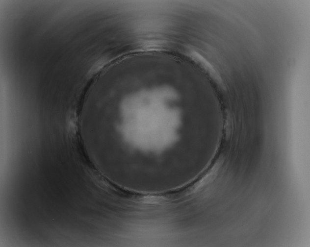 X0000094361449200711162041