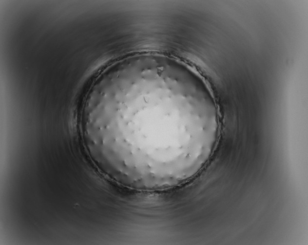 X0000094361450200711162041