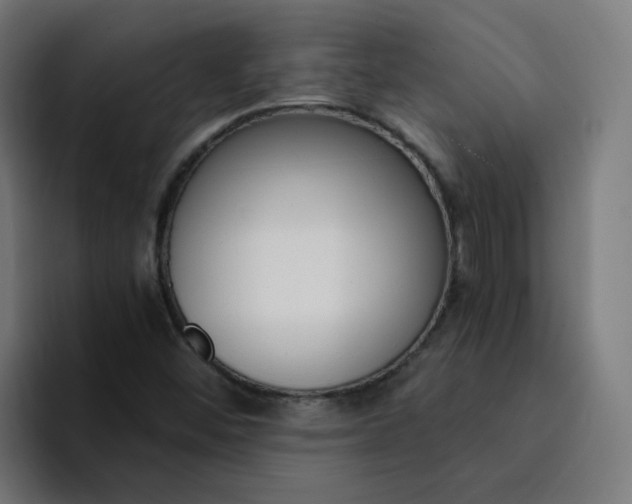 X0000094361452200711162041