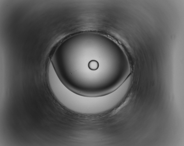 X0000094361453200711162041