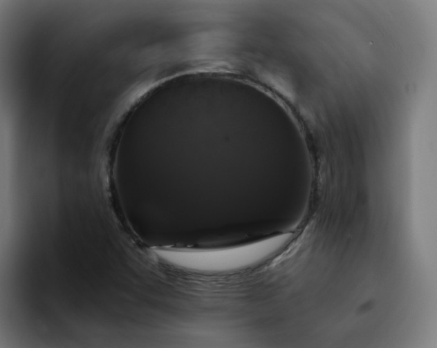 X0000094361455200711162041