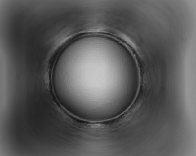 X0000094361456200711162041