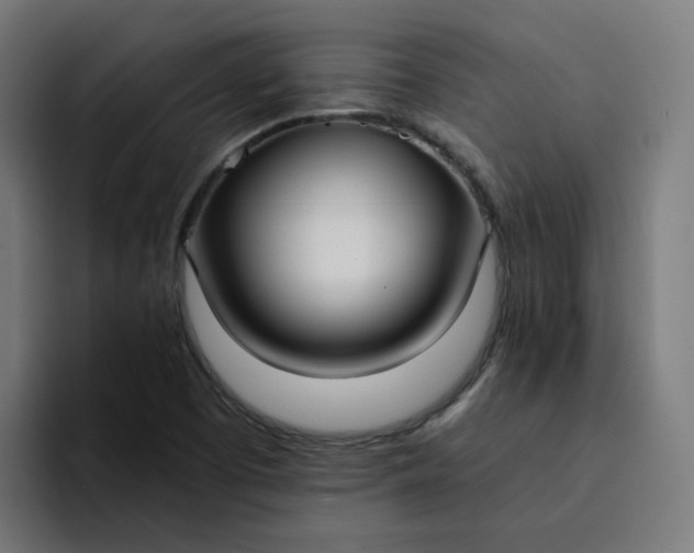 X0000094361457200711162041