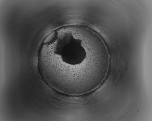 X0000094361459200711162041