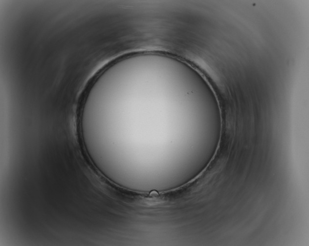 X0000094361460200711162041