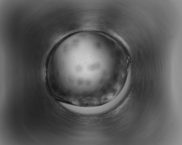 X0000094361461200711162040