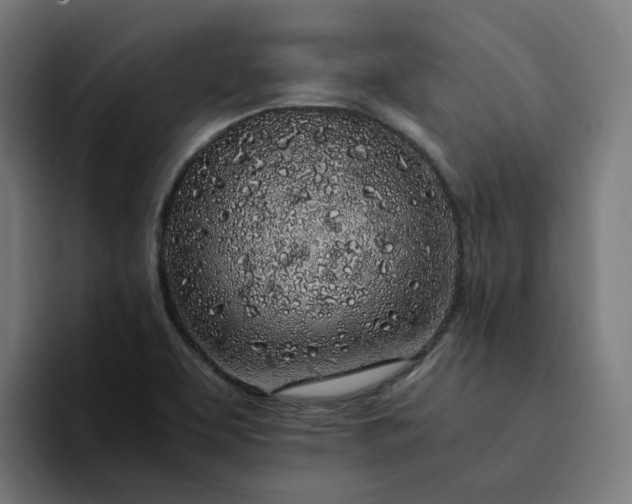 X0000094361463200711162040
