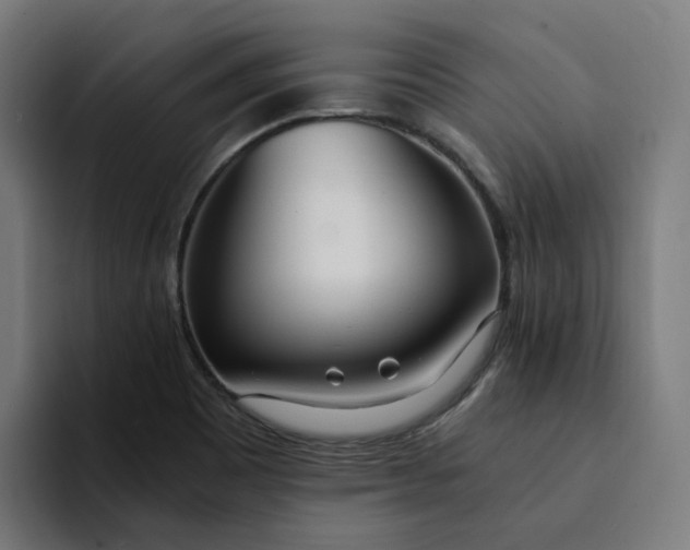 X0000094361465200711162040