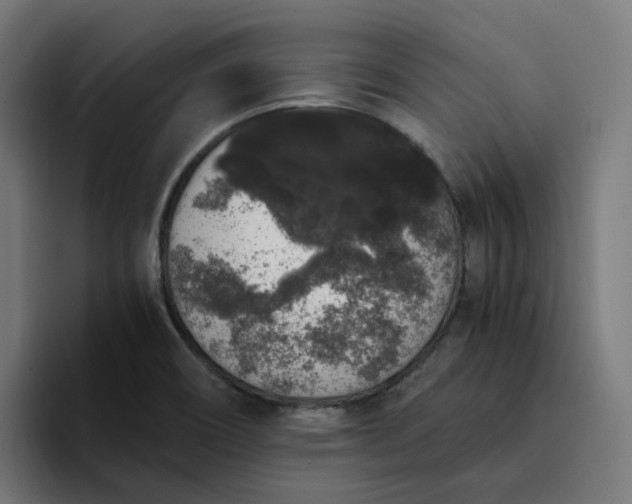 X0000094361466200711162040