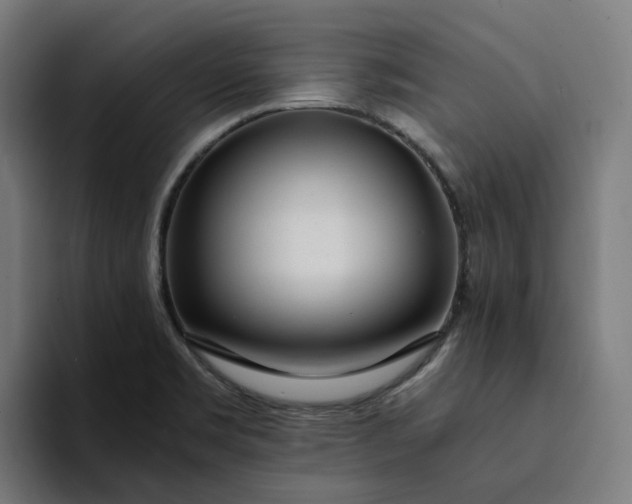 X0000094361469200711162040