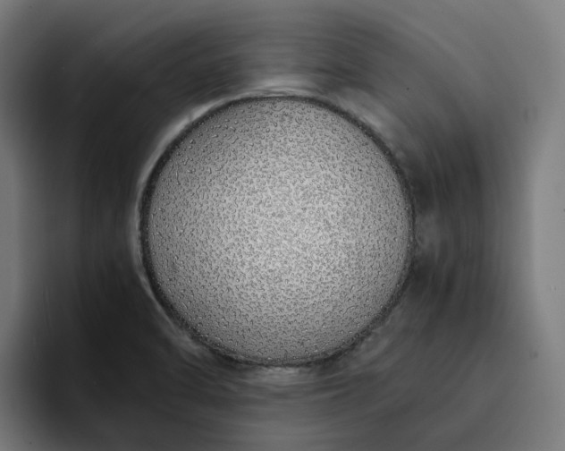 X0000094361470200711162040