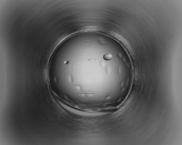 X0000094361473200711162040