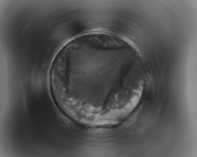 X0000094361474200711162040