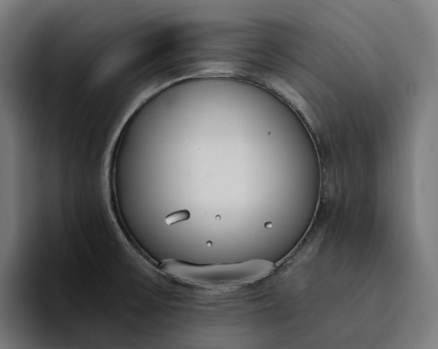 X0000094361475200711162040