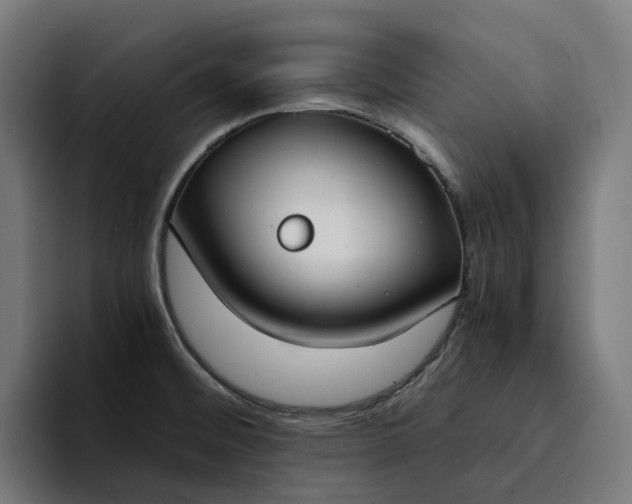 X0000094361476200711162040