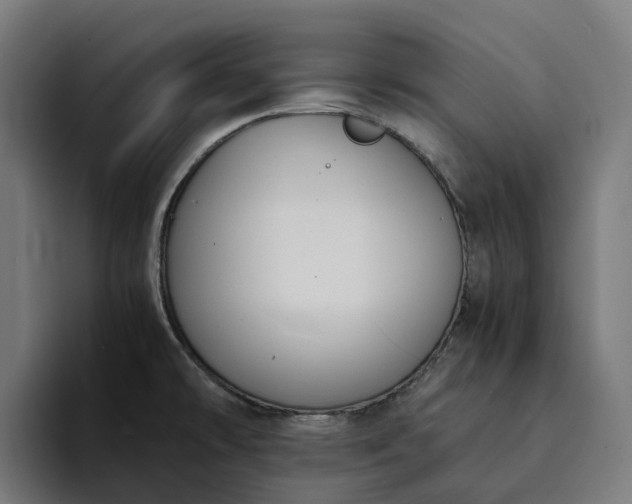 X0000094361478200711162040