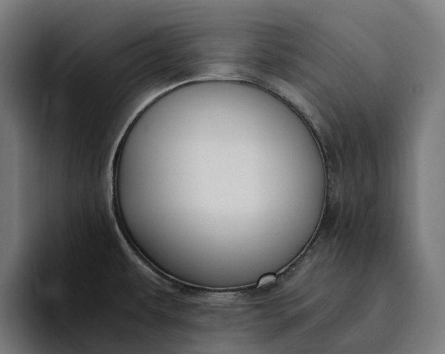 X0000094361479200711162040