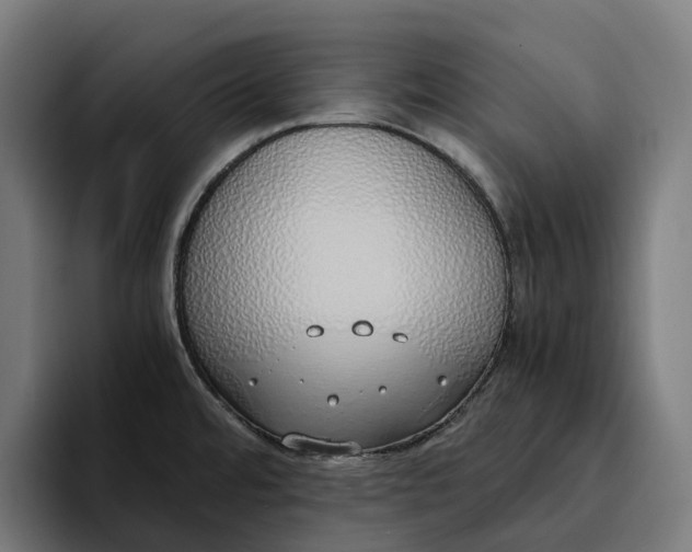 X0000094361480200711162040