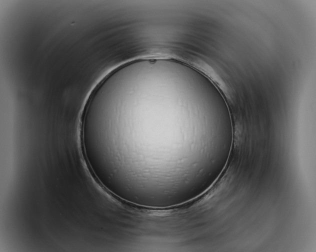 X0000094361484200711162040