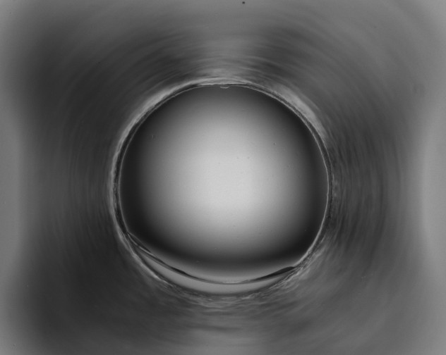 X0000094361485200711162040