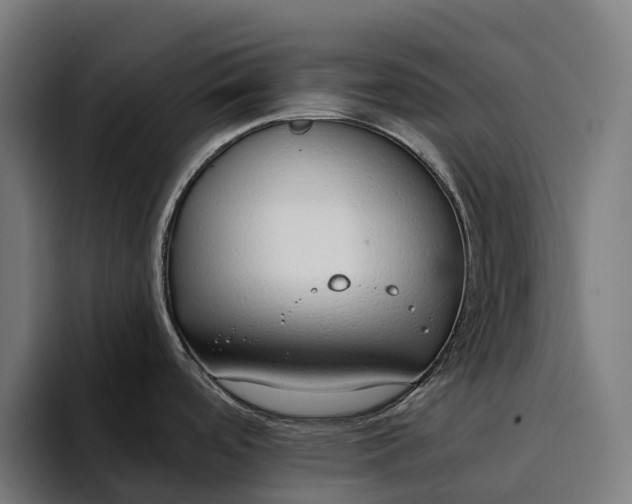 X0000094361488200711162040